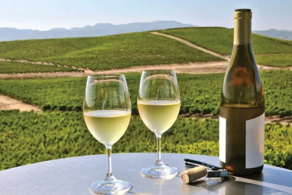 napa-wineries-by-the-glass-bottle